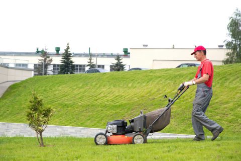 entretien espaces verts